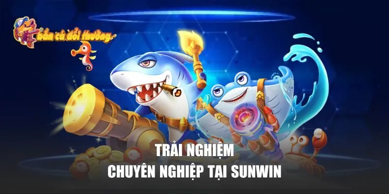 Trải nghiệm chuyên nghiệp tại Sunwin