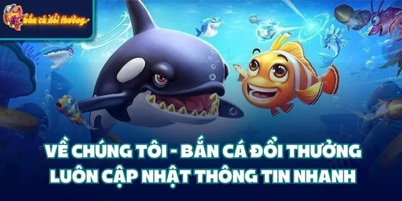 Về chúng tôi - Bắn Cá Đổi Thưởng luôn cập nhật thông tin nhanh